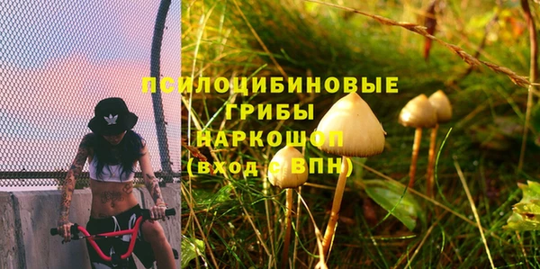 первитин Белоозёрский