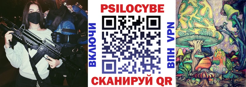 Галлюциногенные грибы Psilocybe  блэк спрут как зайти  shop наркотические препараты  Шебекино 